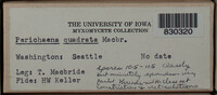 Image Associated With the Occurence